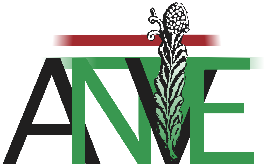 anve