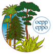 eppo