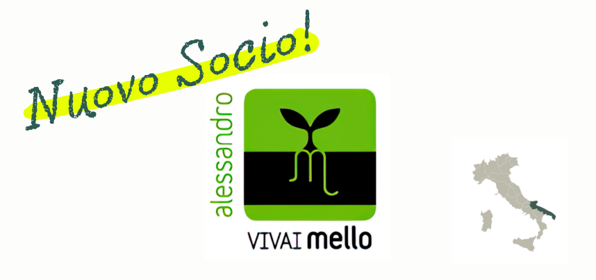 NUOVO SOCIO ANVE: Vivai Mello Alessandro