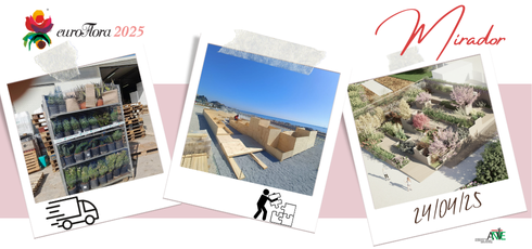EUROFLORA 2025: ANVE PRESENTA “MIRADOR”