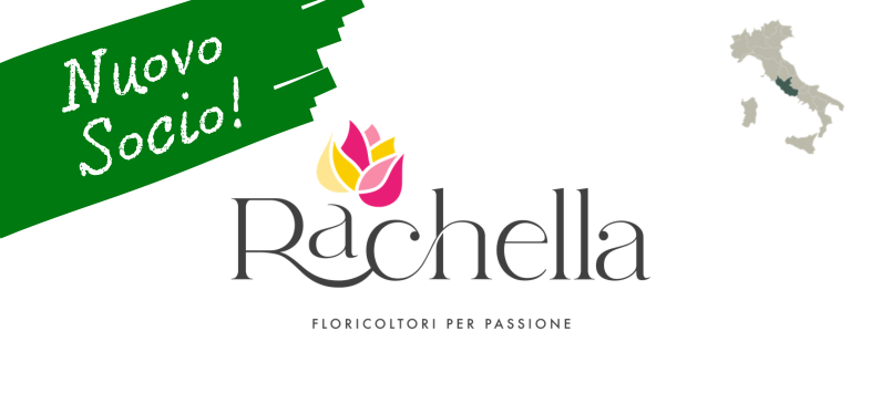 Nuovo Socio: RACHELLA Piante